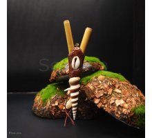 Курипи “Ракушка”