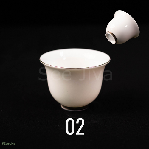 02. 