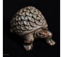 Чайная фигурка «Черепаха-хранительница монет» (铜钱龟)